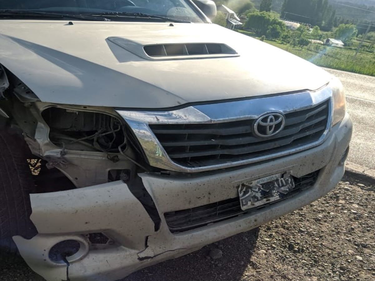 Una camioneta embistió un caballo en la ruta entre Esquel y Trevelin