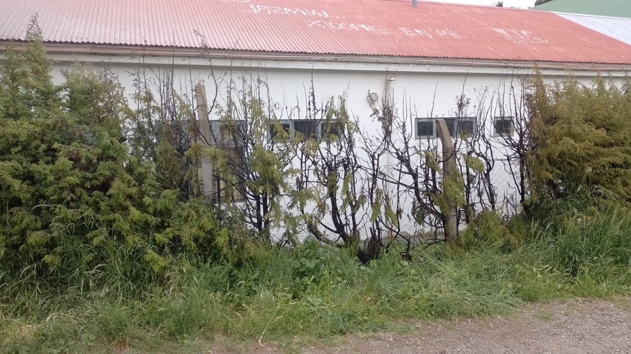 Alarma por el incendio de pastizales atrás de una escuela (EQS Notas)