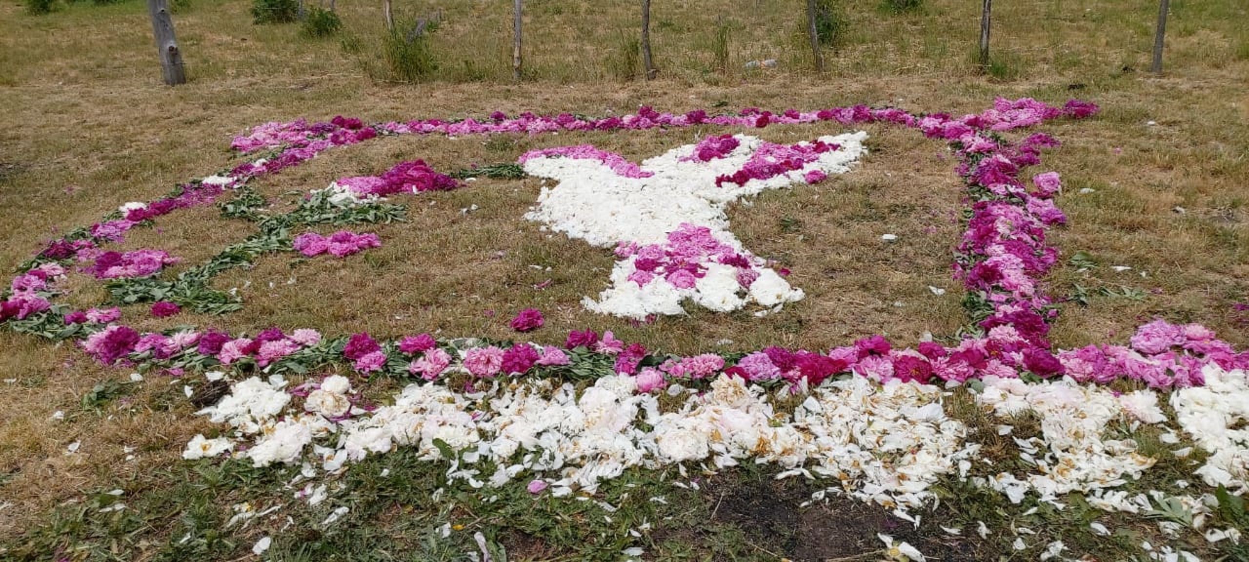 Este domingo se realiza la Fiesta de los Tapices de Peonías en Trevelin