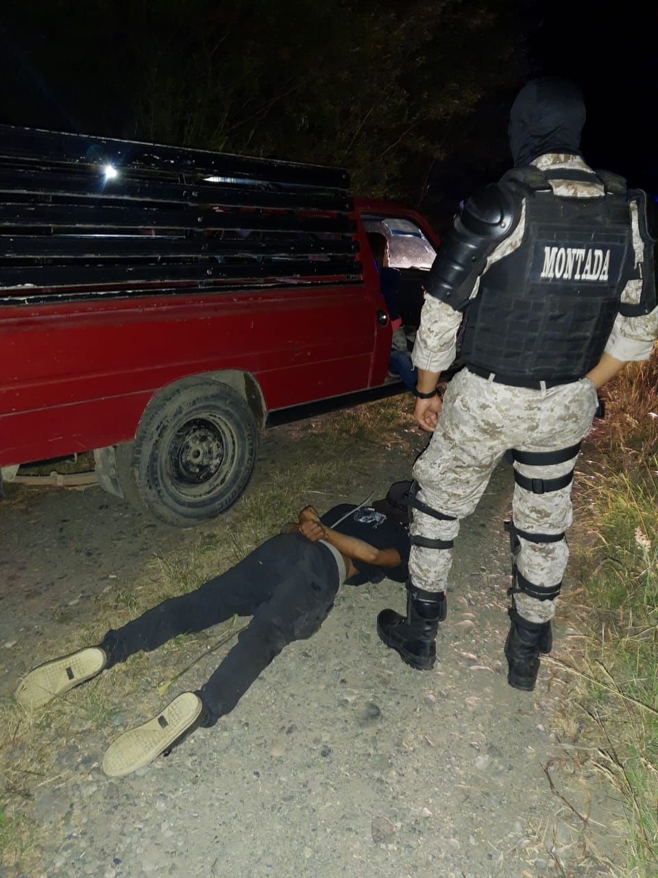 Trevelin: Los encontraron robando ovejas y fueron detenidos