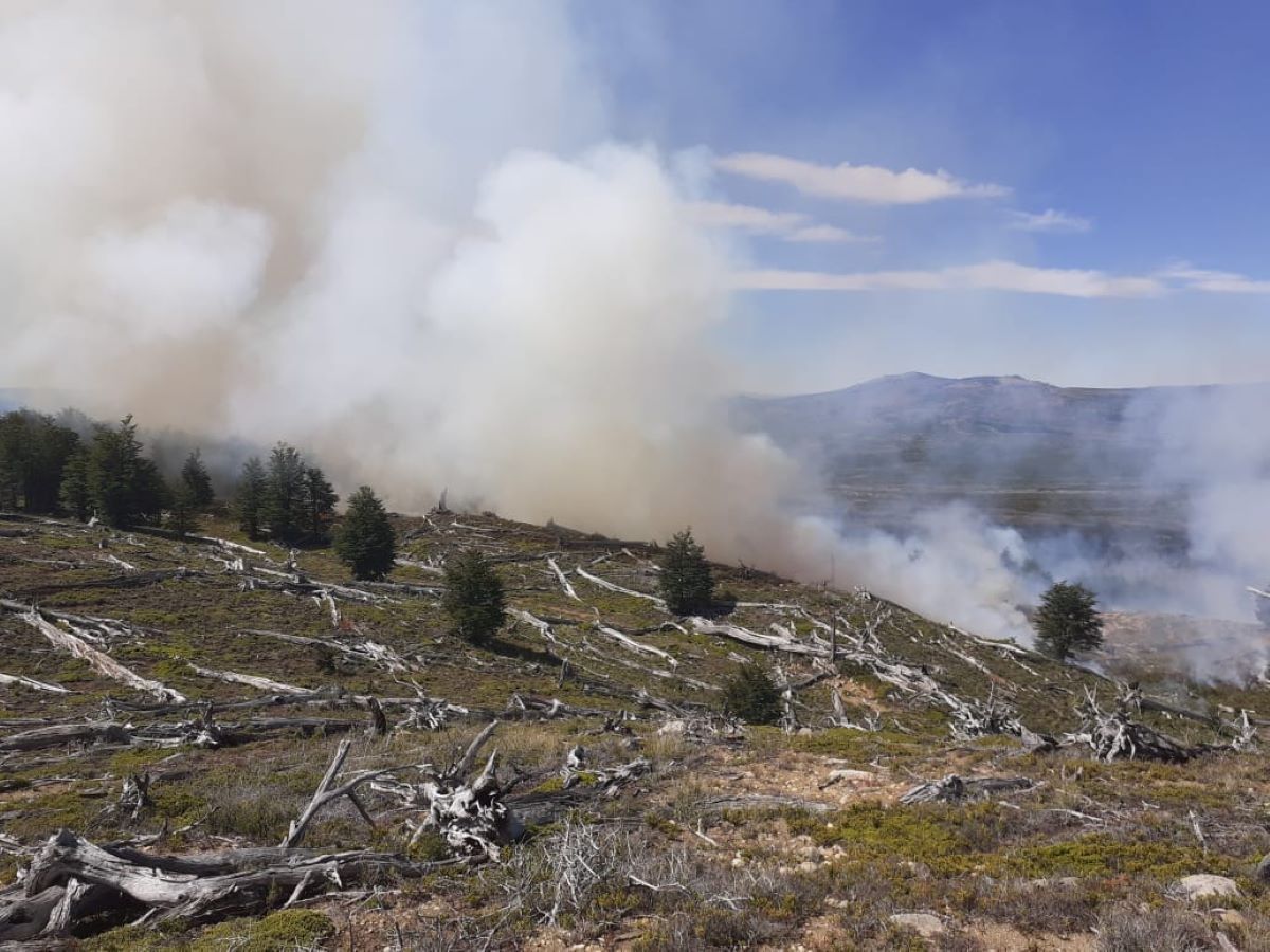 Brigadistas combaten un incendio en la zona de Río Pico