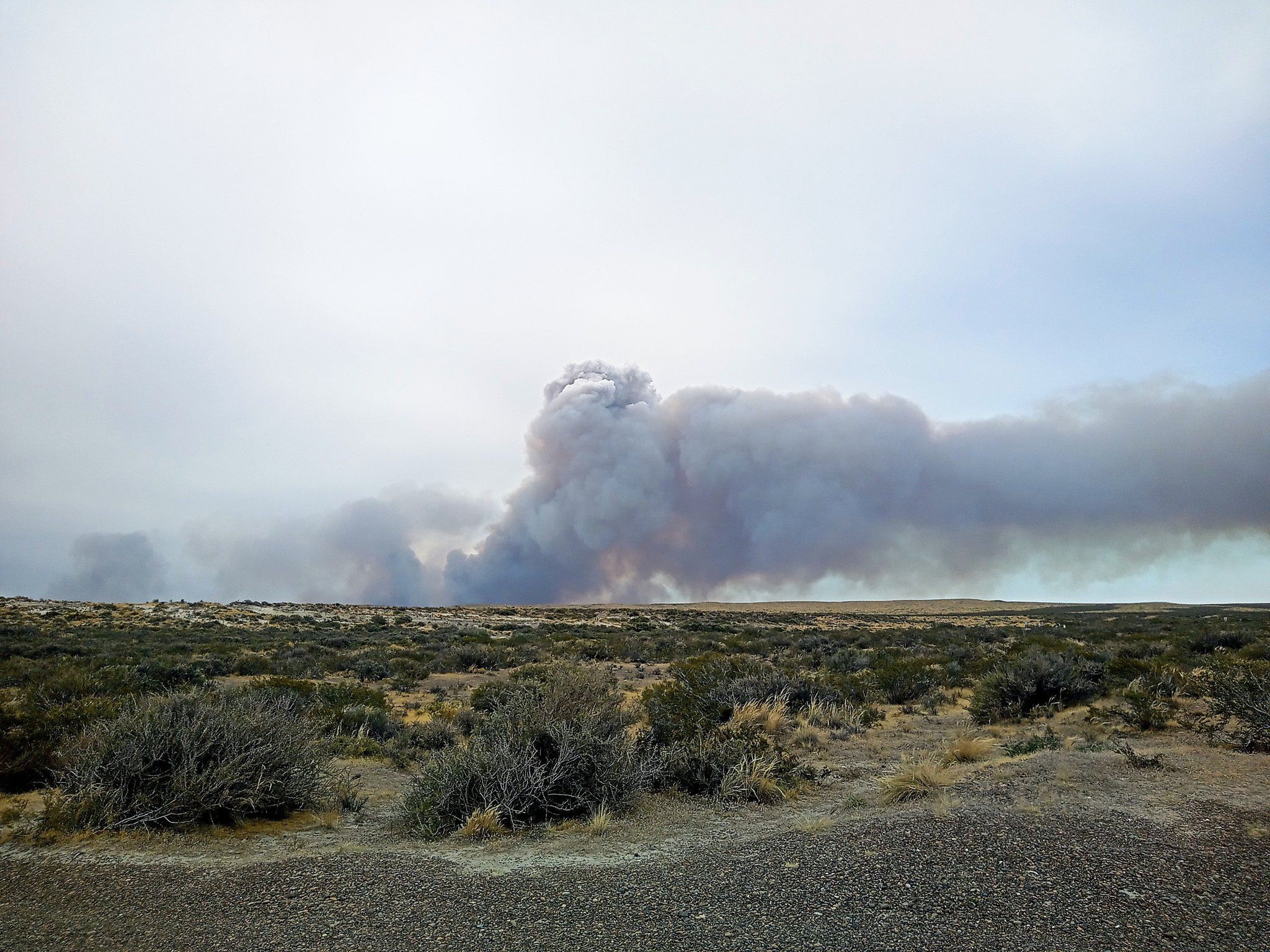 Preocupación por un incendio sin control de campo en Puerto Madryn (Foto @nicomaciel)