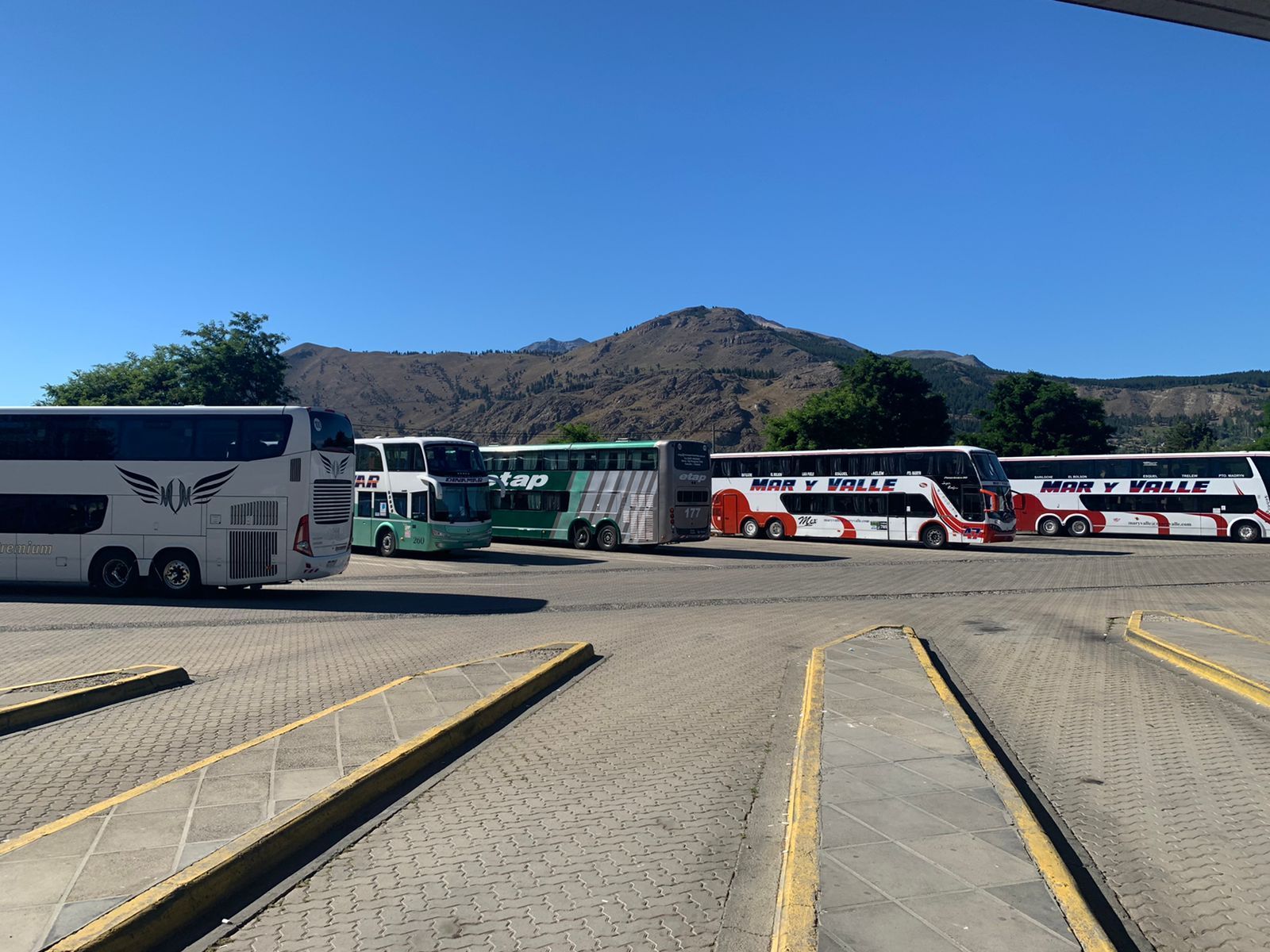 Transporte: Controlarán las condiciones laborales en el contexto de pandemia (EQS Notas)