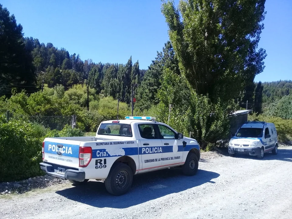 Investigación por hurto de ganado: Secuestran armas en allanamiento