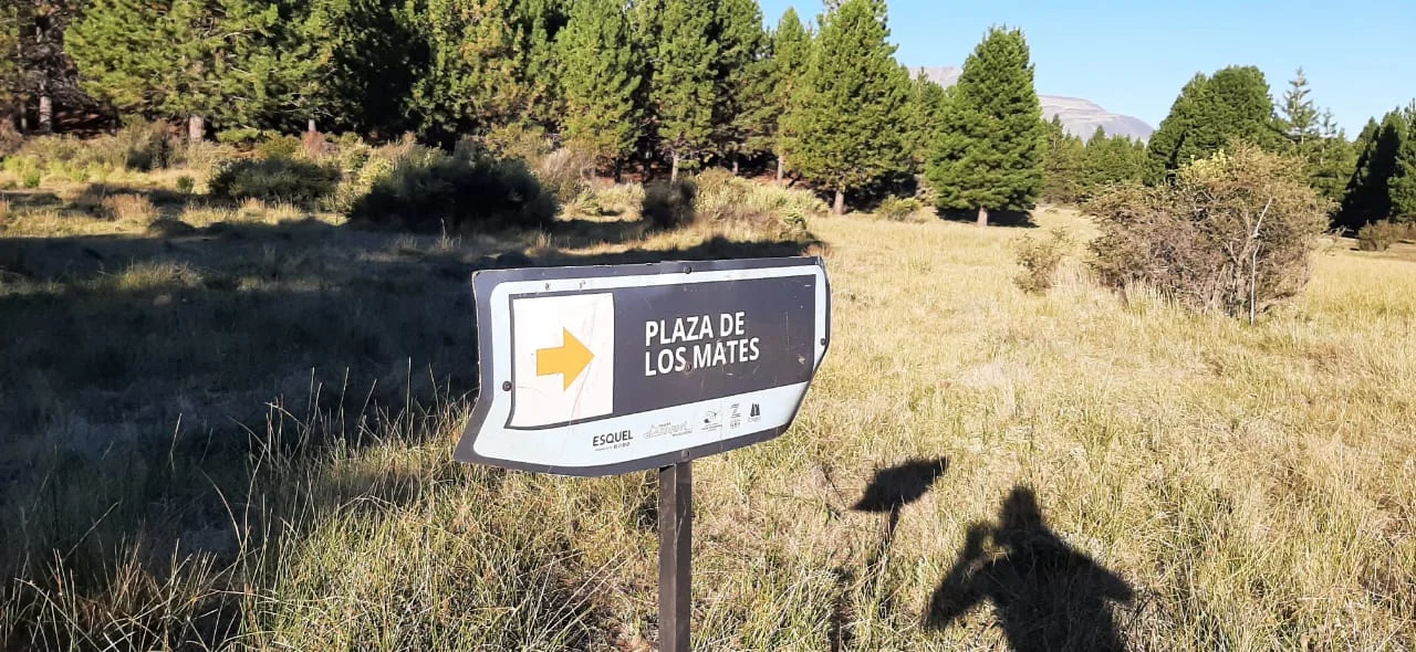 Vandalismo en La Zeta: dañaron la cartelería nueva