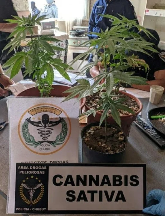 Esquel: Buscaban armas y encontraron más de 350 gramos de cocaína