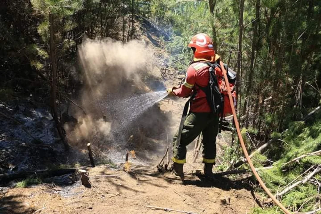Rige una alerta por peligro de incendios en Esquel y la región