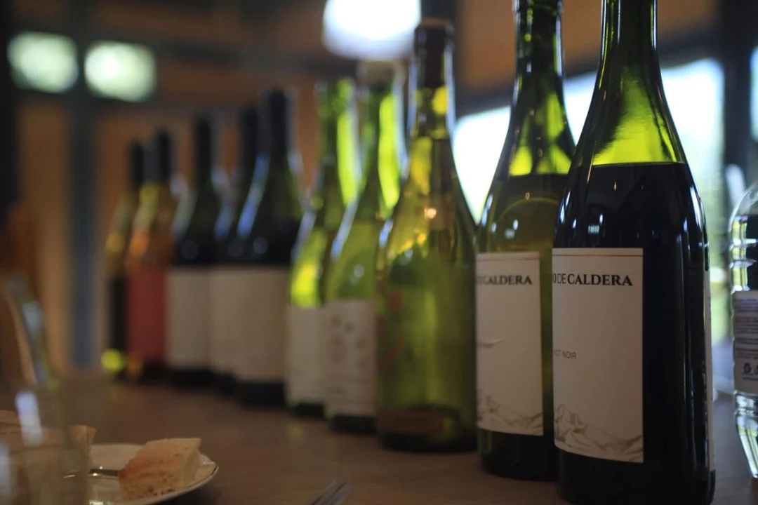 Los vinos que se producen en Trevelin fueron catalogados por referentes mundiales