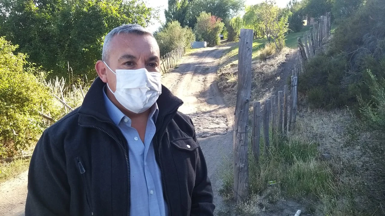 Policía allanó una vivienda buscando armas pero encontró plantas de cannabis