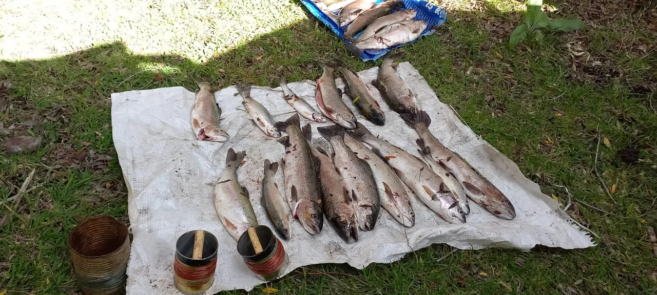 Parque Nacional: Secuestraron 36 truchas y un vehículo por pesca ilegal