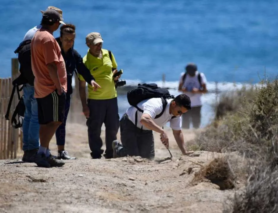 Masacre de pingüinos en Punta Tombo: fiscalía pidió 4 años para el único imputado