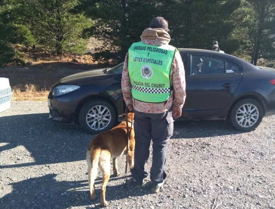 Secuestran cannabis en controles realizados en el ingreso a Esquel
