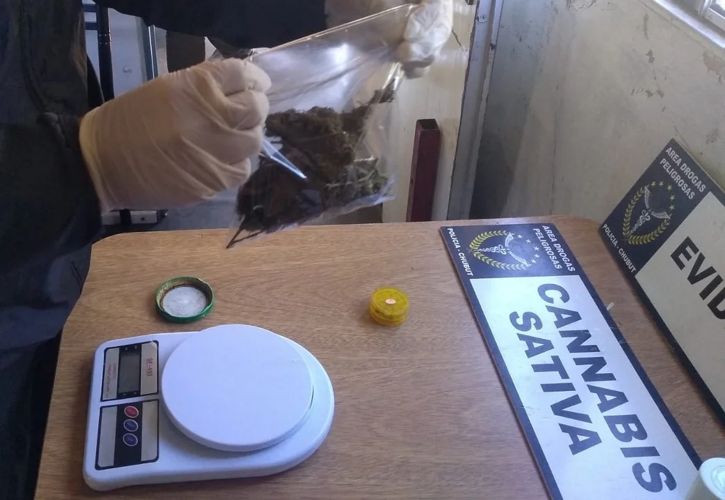 Secuestran cannabis en controles realizados en el ingreso a Esquel