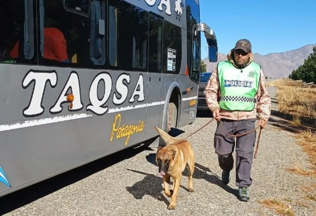 Secuestran cannabis en controles realizados en el ingreso a Esquel