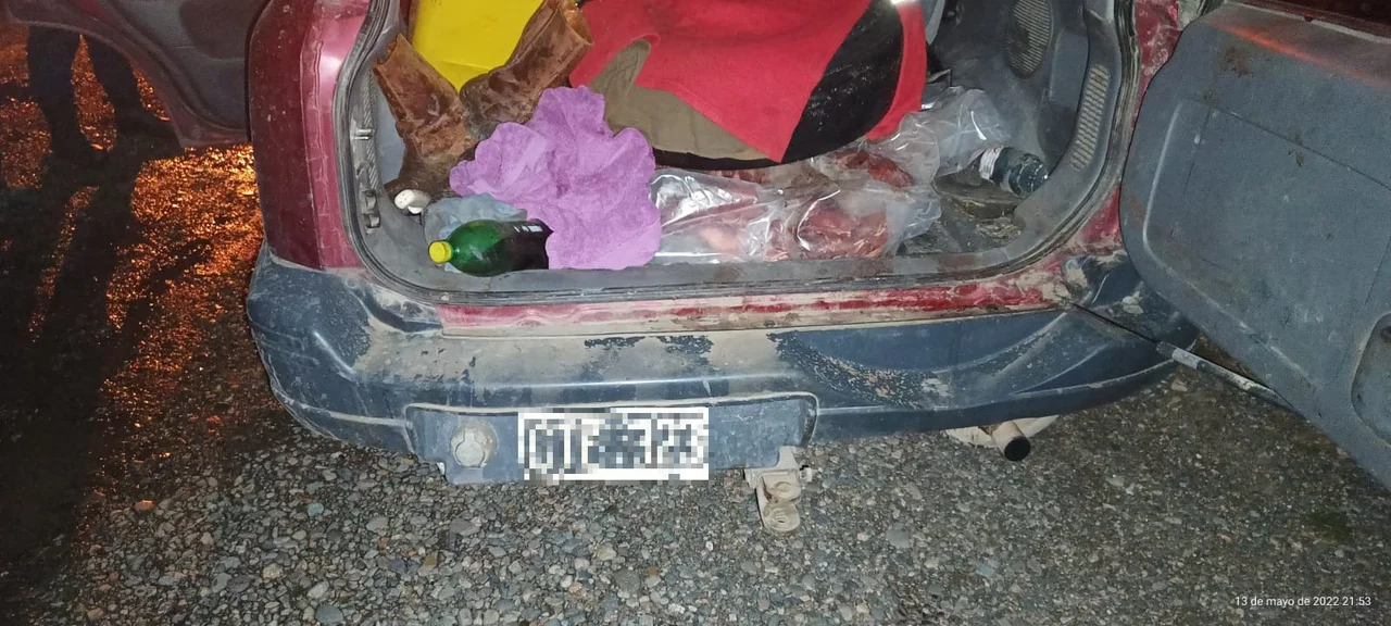 Ruta 40: Detectaron en un vehículo ocho guanacos faenados y un arma