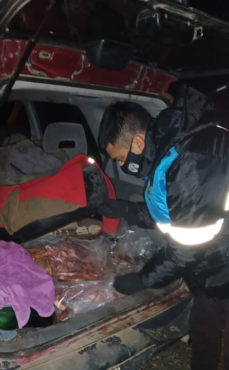 Ruta 40: Detectaron en un vehículo ocho guanacos faenados y un arma