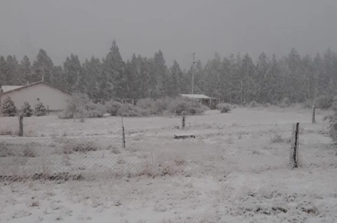 Se cumplió el pronóstico y llegó la nieve a la ciudad de Esquel