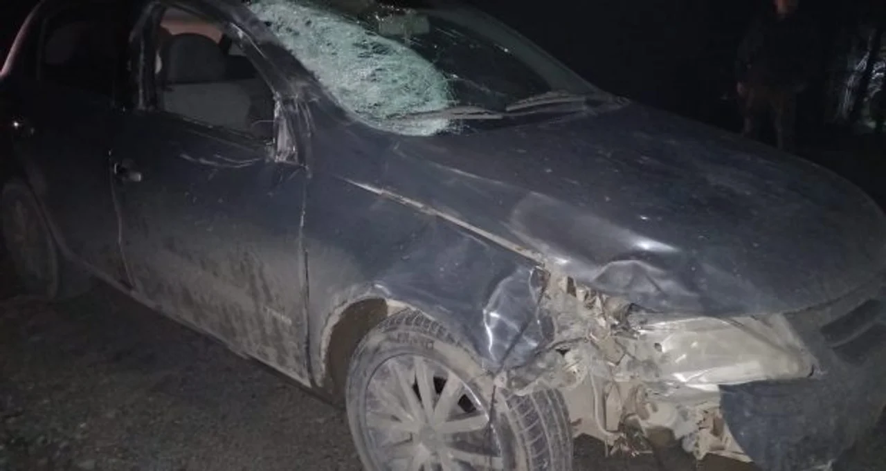 Un vehículo embistió una yegua en la ruta 40