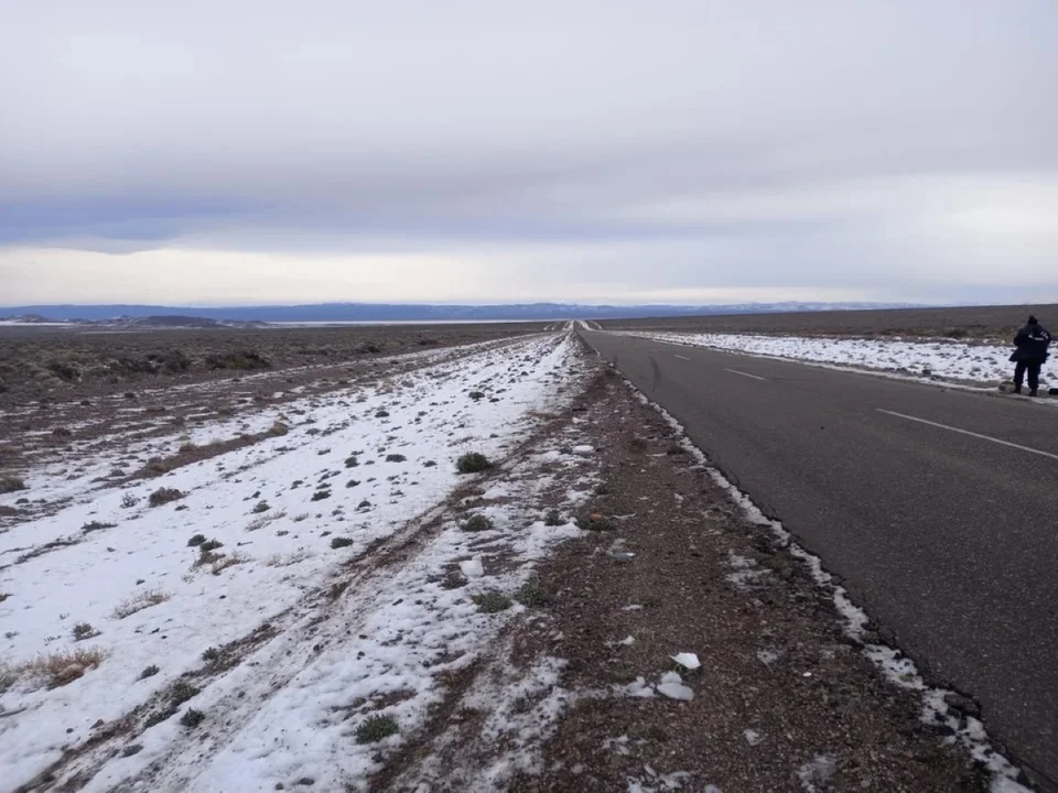Se le cruzó un caballo en la ruta 25 y no pudo evitar chocarlo