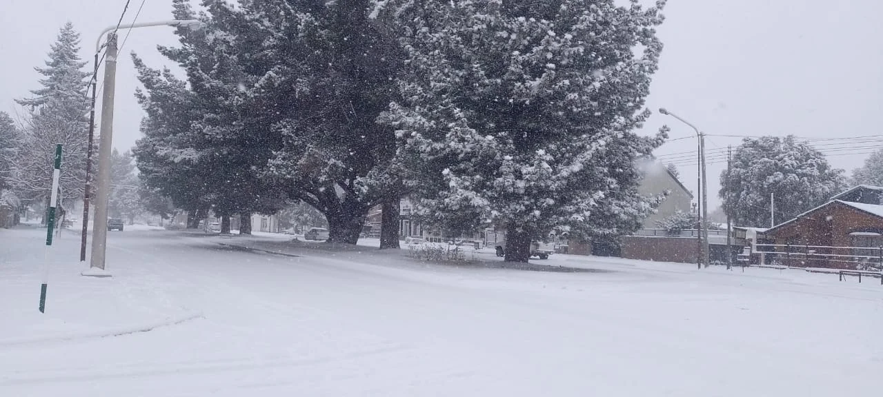 ¿Por qué reina el silencio cuando nieva?