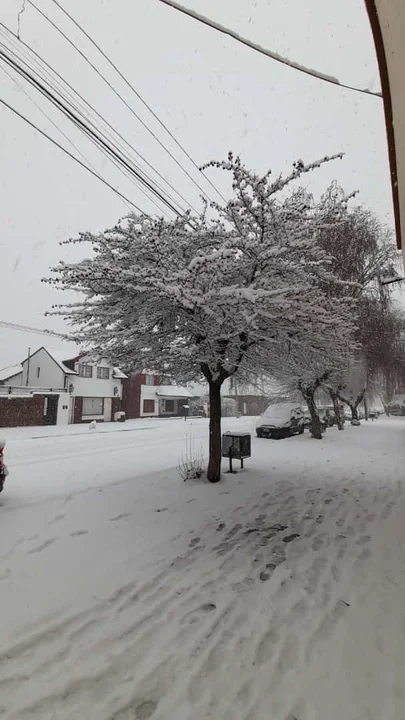Las imágenes que va dejando la intensa nevada en Esquel