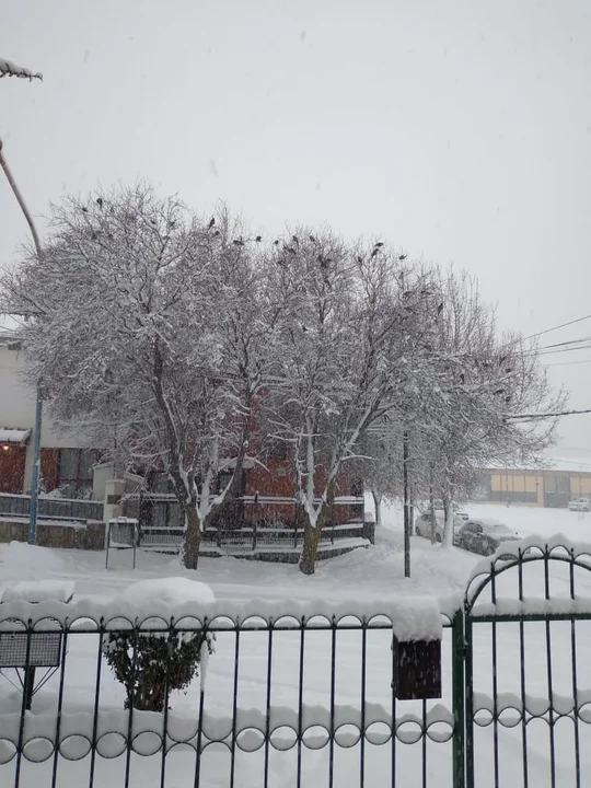 Las imágenes que va dejando la intensa nevada en Esquel