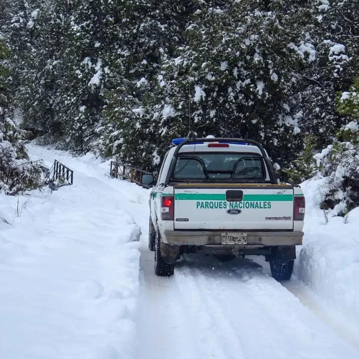 Habilitan el acceso al Parque Nacional Los Alerces hasta un sector