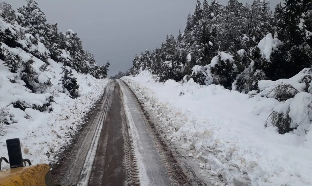 Protección Civil emitió una serie de recomendaciones ante el alerta meteorológica