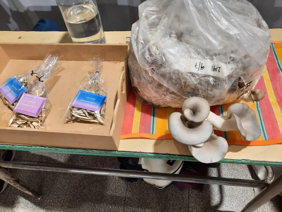 La EPJA 7714 realizó con éxito y mucho público la Muestra Institucional de Proyectos