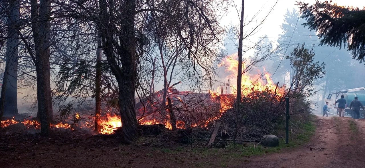 Incendio en la Comarca: Por las fuertes ráfagas el fuego atravesó la ruta 40