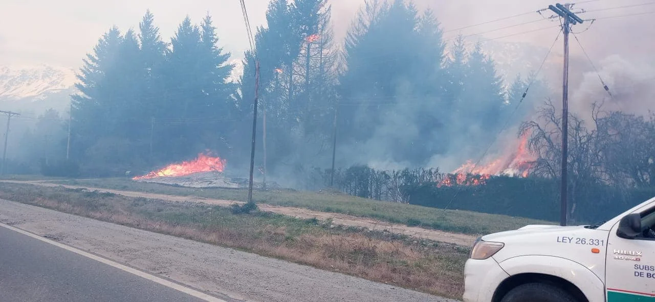 Incendio en la Comarca: Por las fuertes ráfagas el fuego atravesó la ruta 40