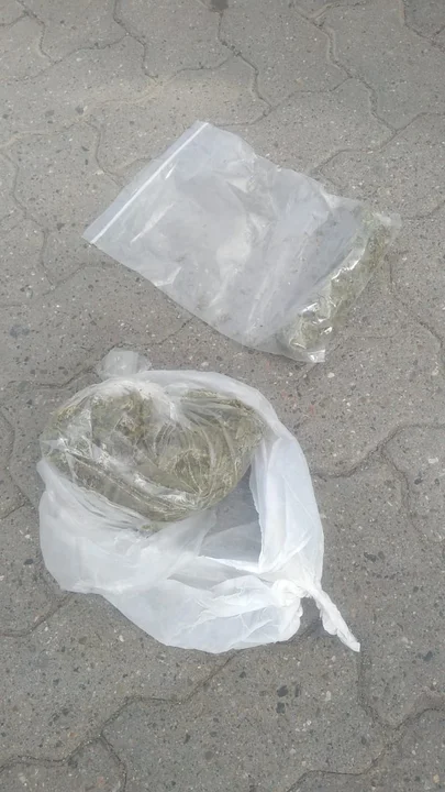 Policía secuestró dos bolsas de cannabis en la terminal de ómnibus