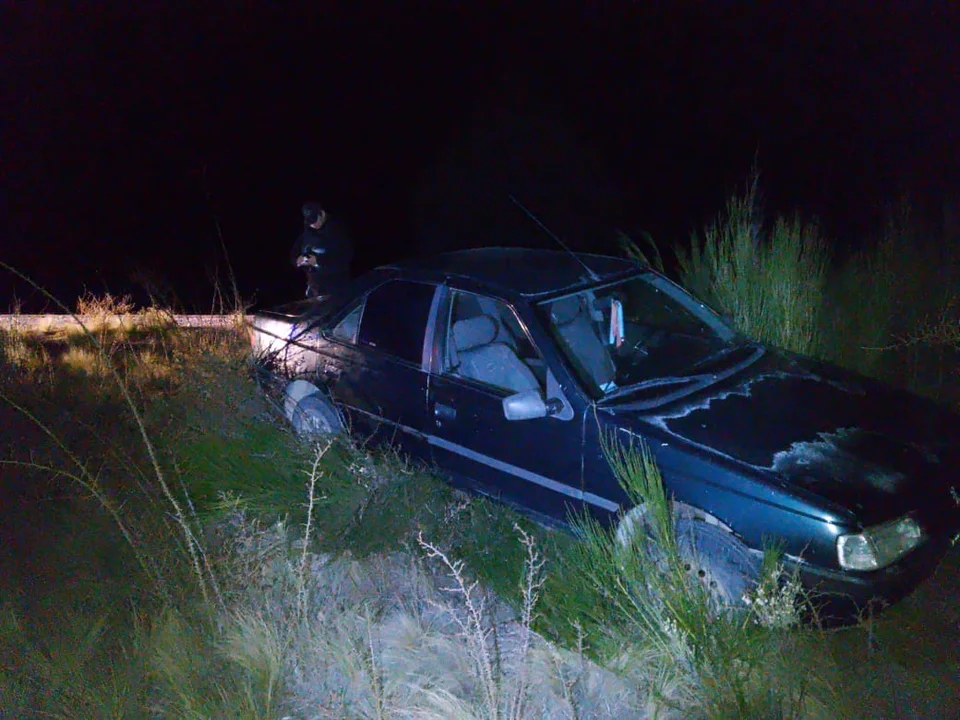 Sufrió un desperfecto en el auto y terminó contra los matorrales