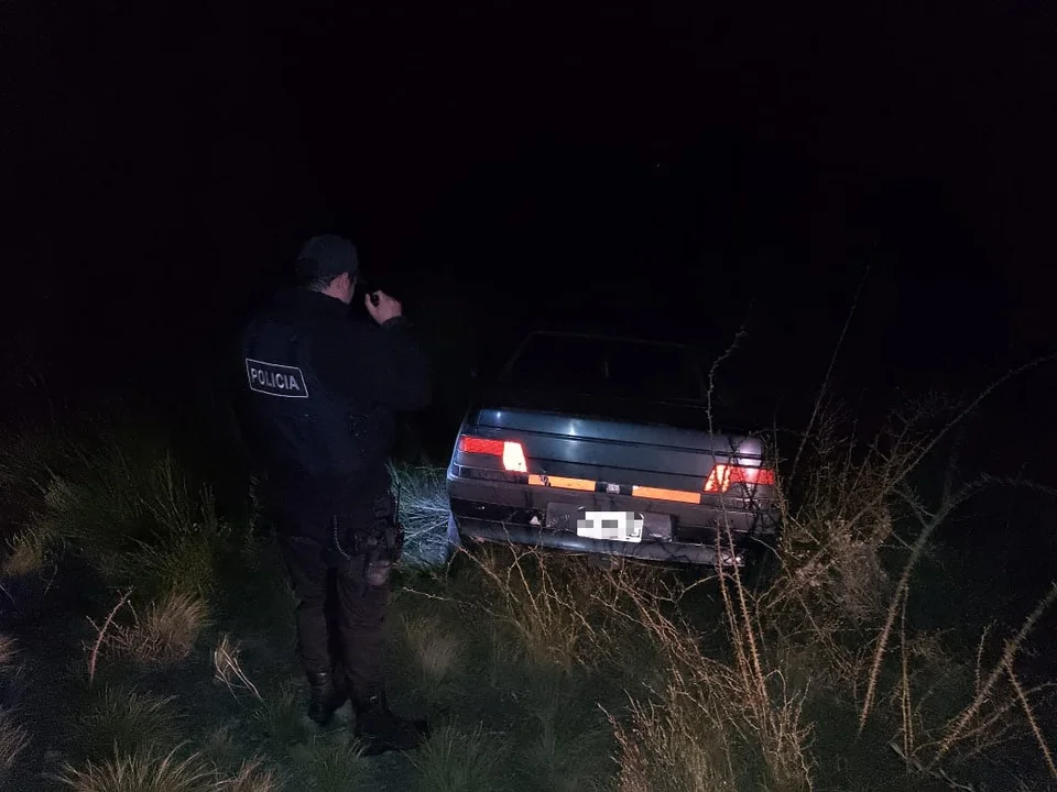 Sufrió un desperfecto en el auto y terminó contra los matorrales