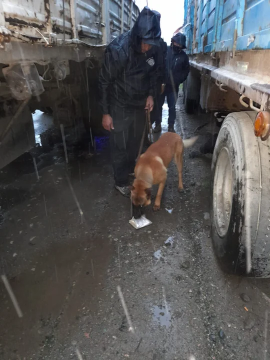 Secuestran 2000 dosis de cocaína en el ingreso a Esquel y hay un detenido
