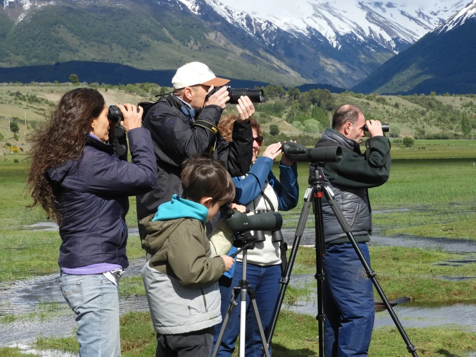 Esquel implementó un Registro Municipal de Guías Observadores de Aves