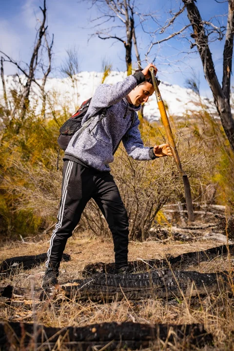 Plantan 2500 coihues y cipreses en bosques afectados por incendios en la Comarca