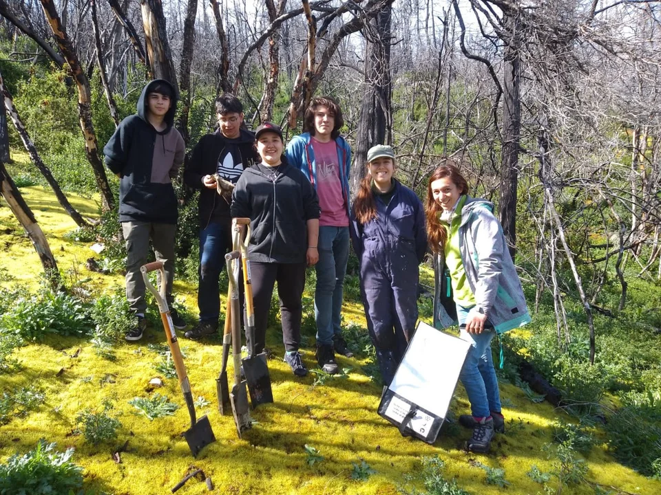 Estudiantes de la Politécnica plantaron 2 mil cipreses en áreas afectadas por incendios