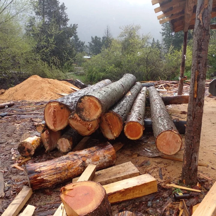 Detectaron madera de pino robada en un aserradero de Lago Puelo