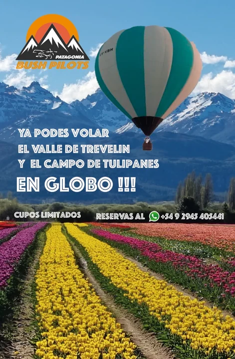 Comenzaron los vuelos en globo sobre el campo de tulipanes