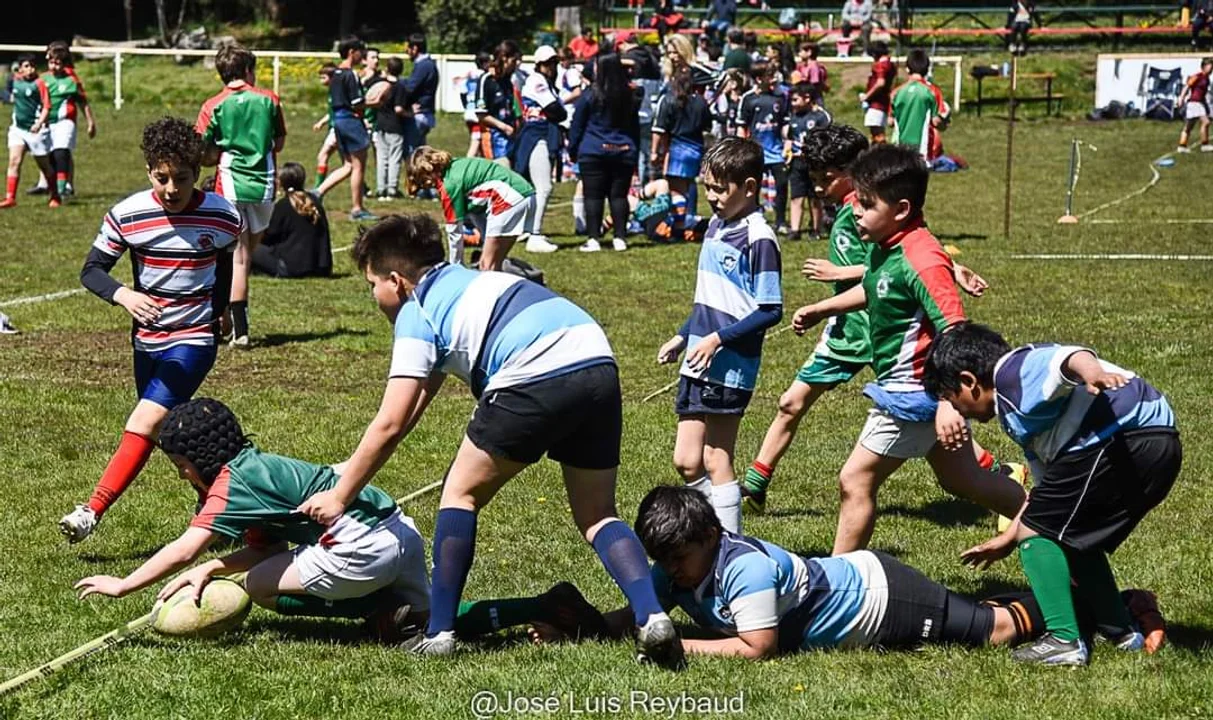 Rugby Infantil (PH José Luis Reybaud)