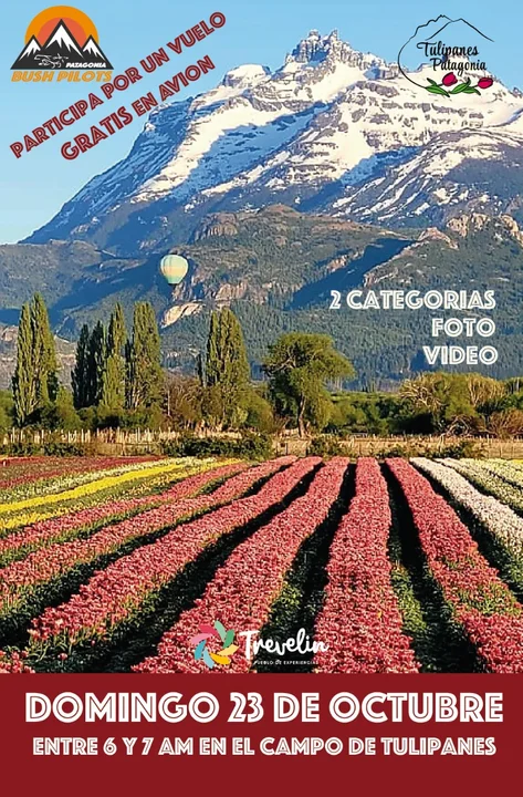 ¡Registrá al globo sobre el campo de tulipanes y ganate un vuelo gratis en avión!
