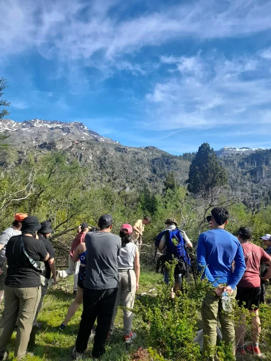 Cholila: por séptimo año, restauraron bosque nativo afectado por el incendio de 2015
