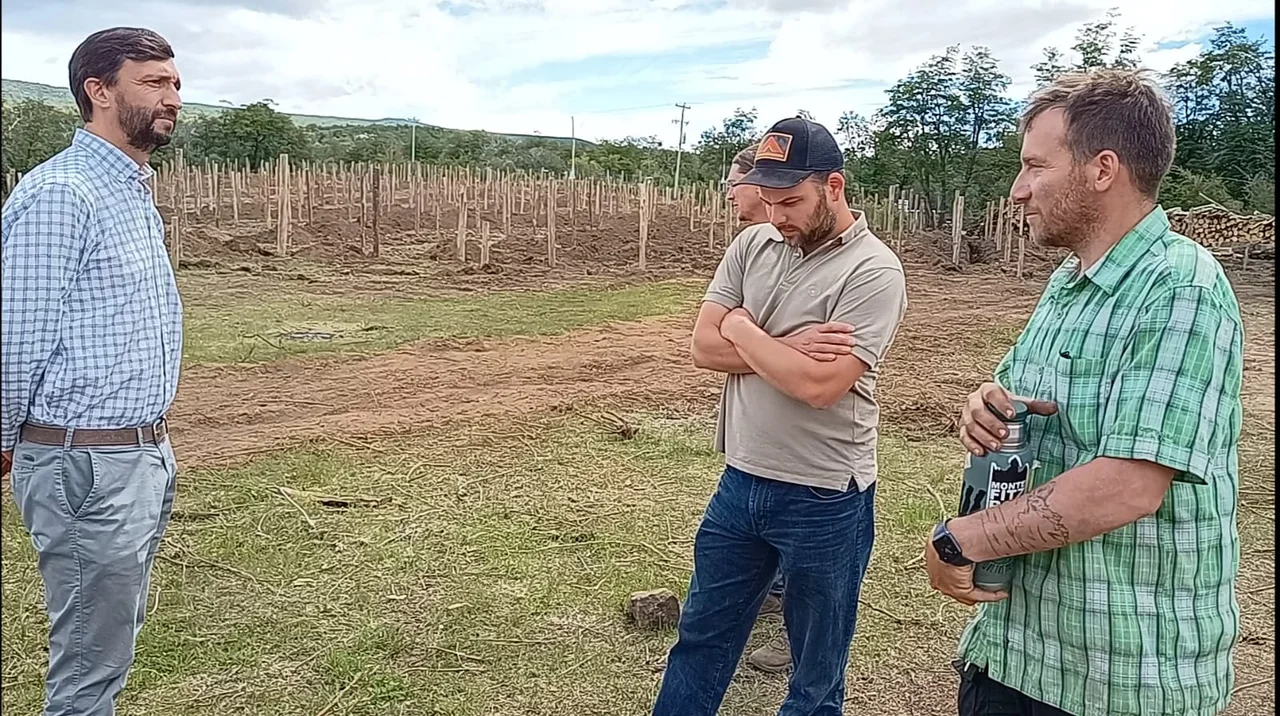 Realizan un emprendimiento que incluye viñedos y alojamiento en Trevelin