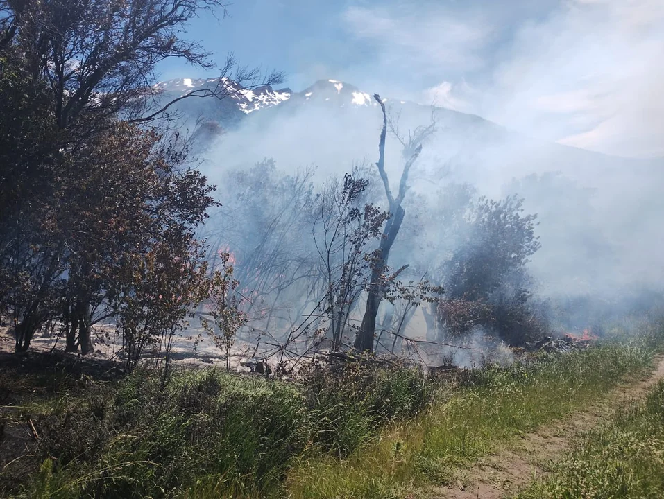 Estaba cocinando, se descuidó y provocó un incendio forestal