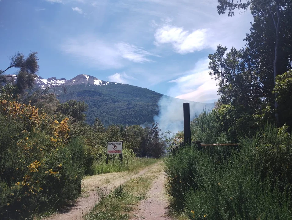 Estaba cocinando, se descuidó y provocó un incendio forestal