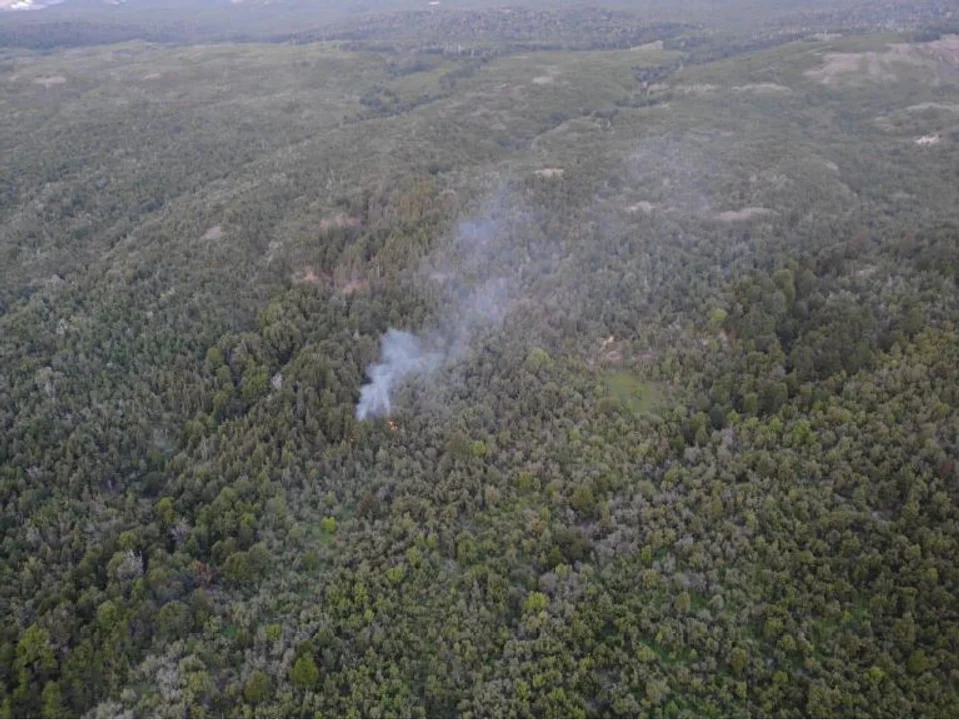 Se incendió un sector de difícil acceso en el Parque Nacional Los Alerces