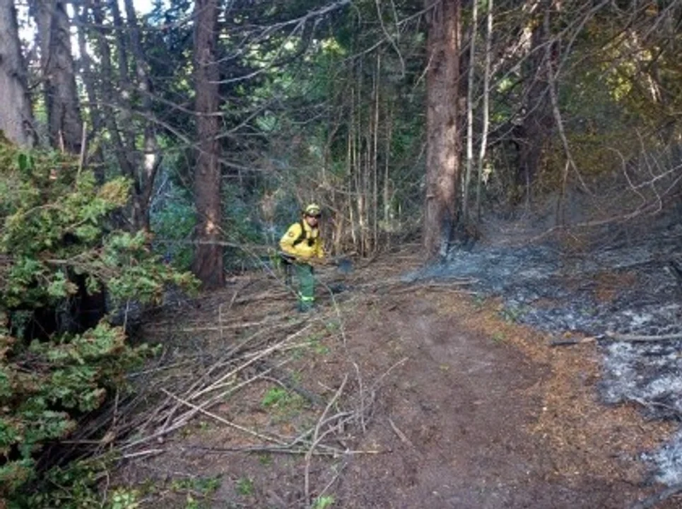 Para Colomb el incendio en el Parque Nacional Los Alerces fue intencional