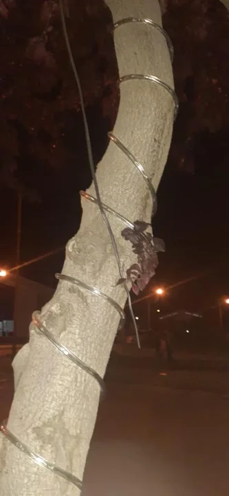 Otra vez realizaron destrozos en el Paseo Navideño en el acceso a Esquel