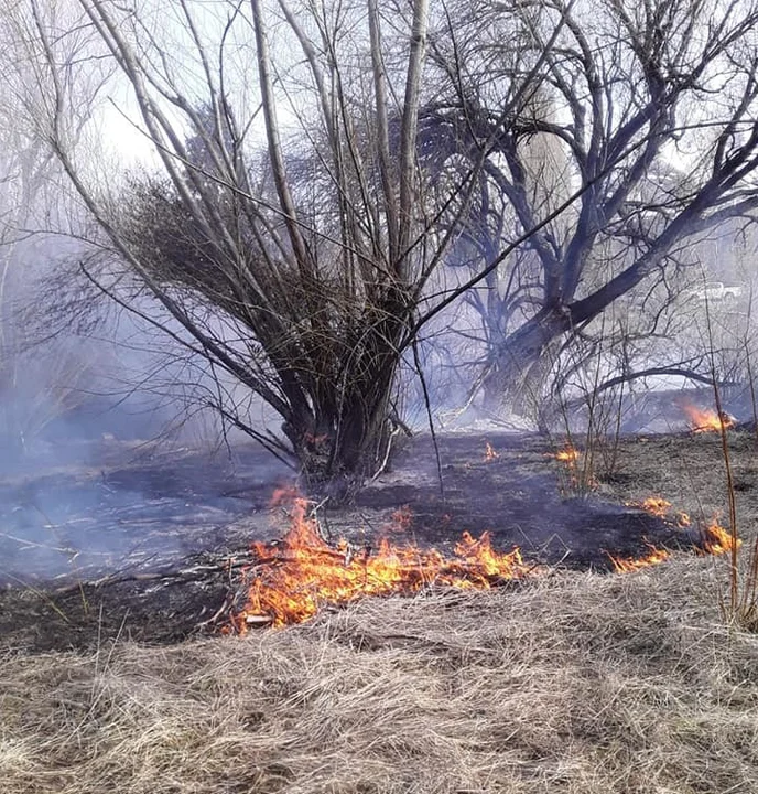 Precaución: Es extremo el índice de peligro de incendios forestales